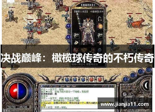 决战巅峰：橄榄球传奇的不朽传奇