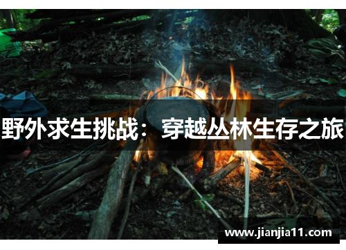 野外求生挑战：穿越丛林生存之旅