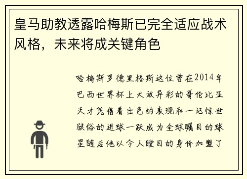 皇马助教透露哈梅斯已完全适应战术风格，未来将成关键角色